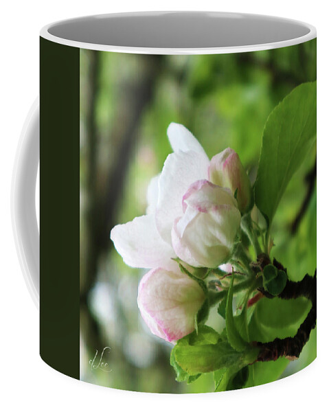 Apple Coffee Mug featuring the photograph Apple Blossoms 2 by D Lee