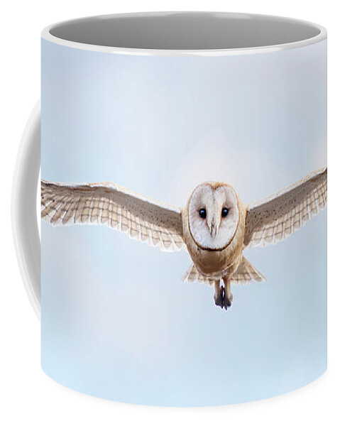 Animal Coffee Mug featuring the photograph Approach by Alice Cahill