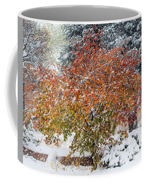 Taos Coffee Mug featuring the photograph Apricot Tree in a Winter Storm by Elijah Rael