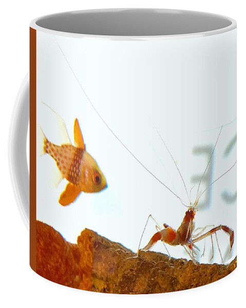 Aquarium Coffee Mug featuring the photograph Aquarium by VIVA Anderson
