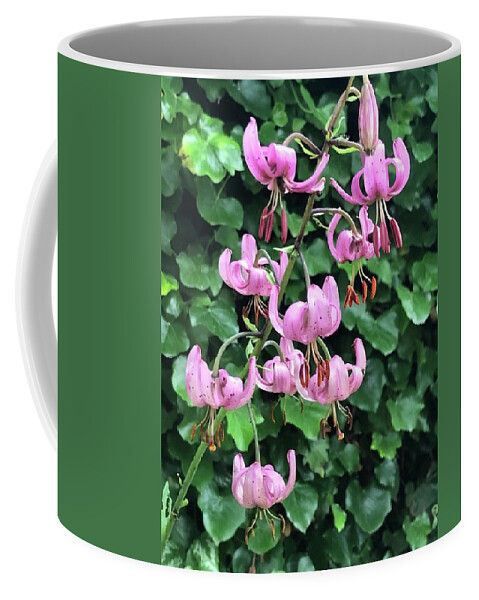 Arabian Lily Coffee Mug featuring the photograph Arabian Lily by Mark Egerton