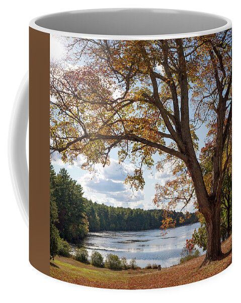Arcadia Coffee Mug featuring the photograph Arcadia in the Fall by Kirkodd Photography Of New England
