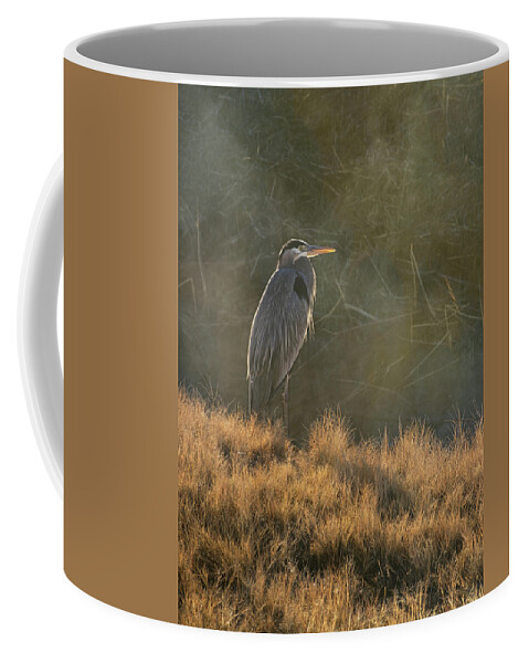 Heron Coffee Mug featuring the photograph Ardea Herodias by Mary Lee Dereske