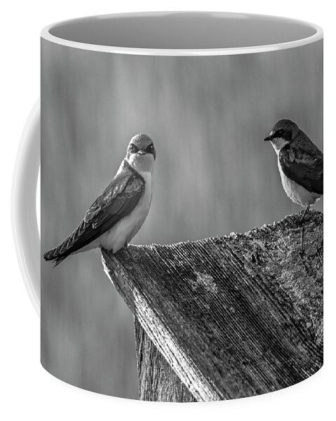 Avian Coffee Mug featuring the photograph Are You Kidding Me by Cathy Kovarik
