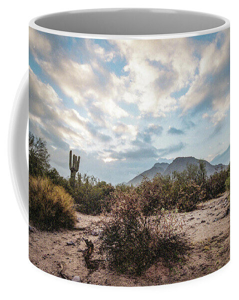 Arizona Coffee Mug featuring the photograph Arizona dessert by Jim Mathis
