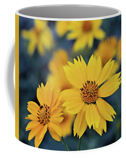 Arnica Coffee Mug featuring the photograph Arnica Flowers by Bob Falcone