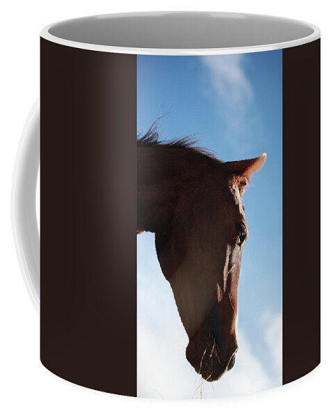 Horse Coffee Mug featuring the photograph Arresting Visage by Listen To Your Horse