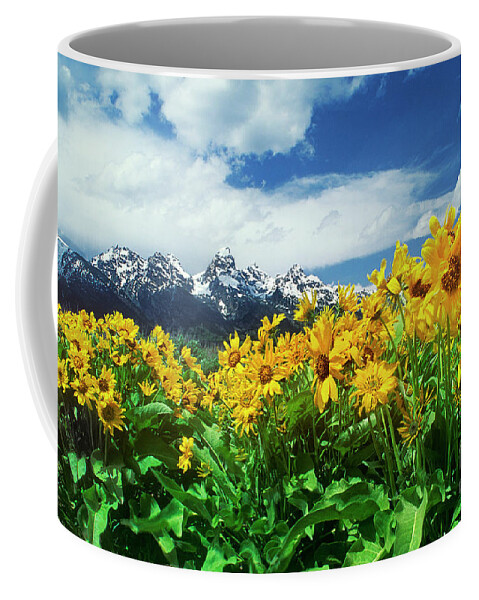 Dave Welling Coffee Mug featuring the photograph Arrowleaf Balsamroot Grand Tetons National Park Wyoming by Dave Welling