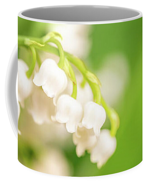 Lily Of The Valley Coffee Mug featuring the photograph Lily of the valley by Delphimages Photo Creations