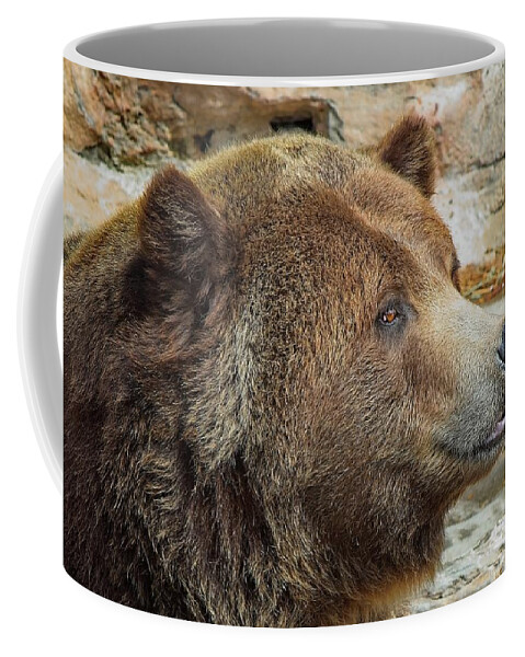 Brown Coffee Mug featuring the photograph Brown bear sitting quietly, relaxing by Loren Gilbert