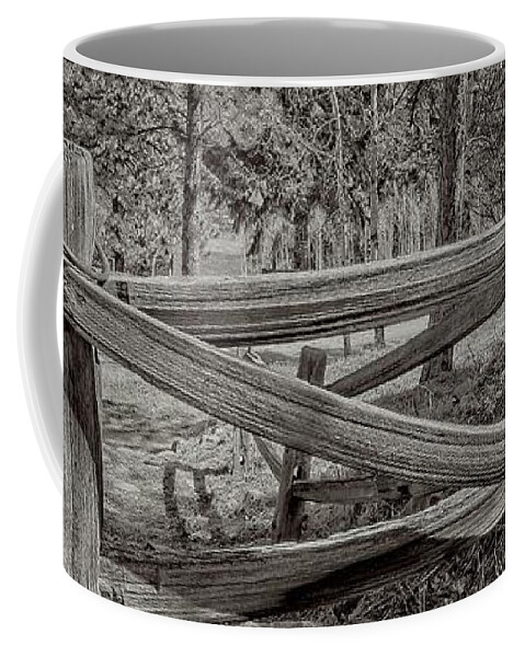 Nature Coffee Mug featuring the photograph The 5th Gate by Loren Gilbert