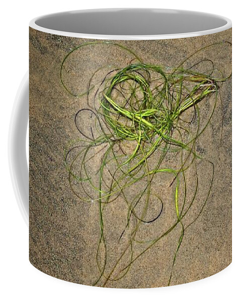 Marine Coffee Mug featuring the photograph Beach Still Life #2 by Loren Gilbert