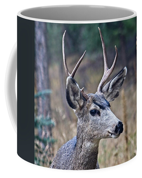 Rack Coffee Mug featuring the photograph Look At Those Eyebrows by Loren Gilbert