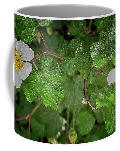 Growth Coffee Mug featuring the photograph Wild raspberry blossoms by Loren Gilbert