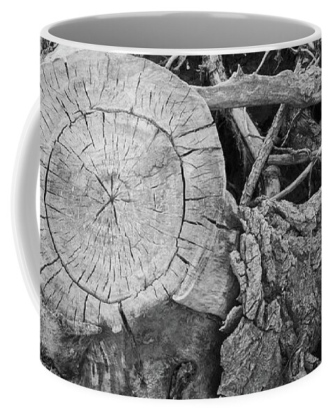 Roots Coffee Mug featuring the photograph Bleached Wood #3 by Loren Gilbert