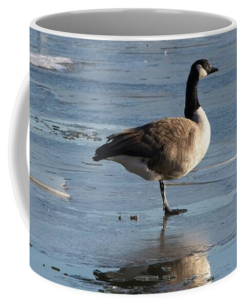 Canada Goose Coffee Mug featuring the photograph Canada Goose on One Leg by Loren Gilbert