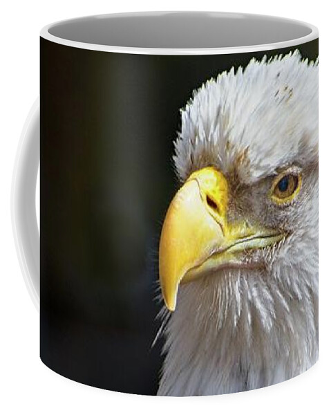 Animal Coffee Mug featuring the photograph Watchful Bald Eagle by Loren Gilbert
