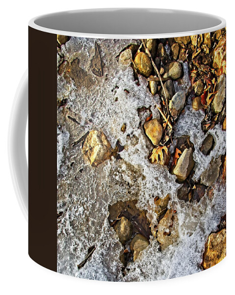 Stream Coffee Mug featuring the photograph Forest Still Life #4 by Loren Gilbert