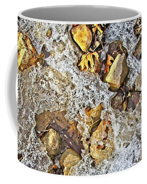 Stream Coffee Mug featuring the photograph Forest Still Life #5 by Loren Gilbert
