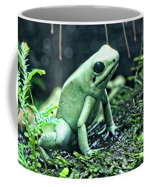 Leaf Coffee Mug featuring the photograph A Pale Green Frog by Loren Gilbert