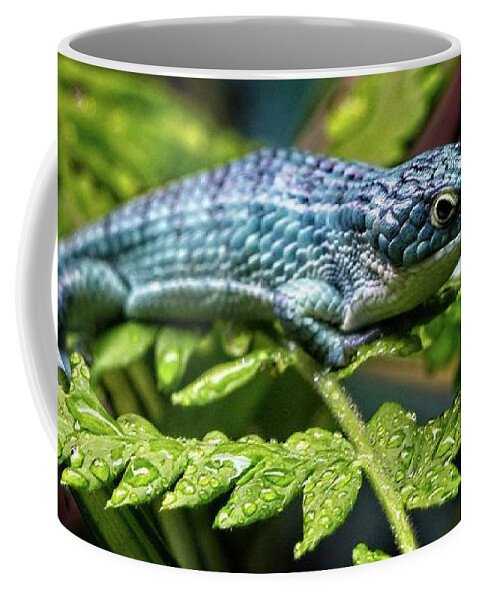 Animal Coffee Mug featuring the photograph A Small Blue Lizard After A Brief Shower by Loren Gilbert
