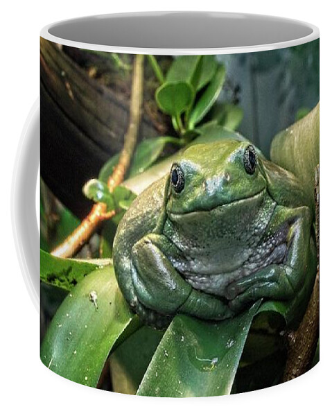 Cute Coffee Mug featuring the photograph Jabba The Frog by Loren Gilbert