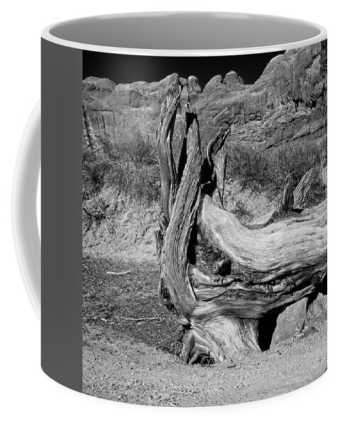 Abstract Coffee Mug featuring the photograph Bleached Wood #2 by Loren Gilbert