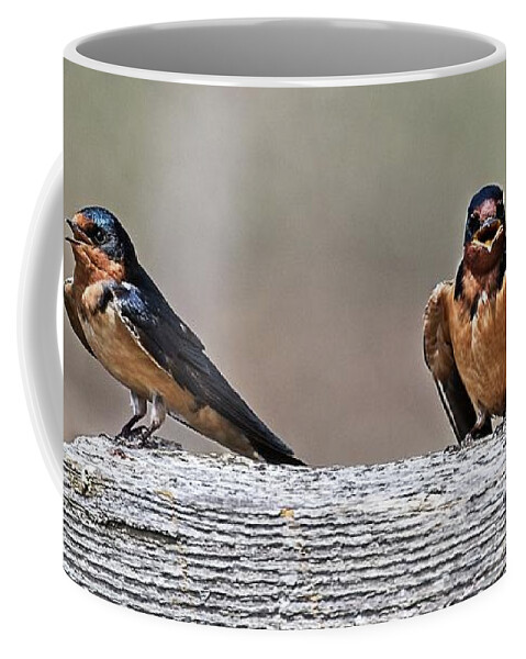 Wildlife Coffee Mug featuring the photograph A Pair of Cheep Friends by Loren Gilbert