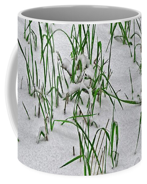 April Coffee Mug featuring the photograph Late Spring Snow by Loren Gilbert
