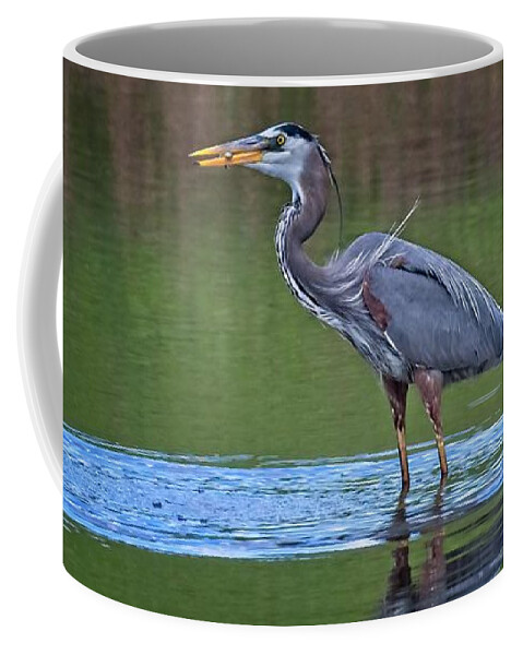 America Coffee Mug featuring the photograph A Great Blue Heron Enjoying His Lunch by Loren Gilbert