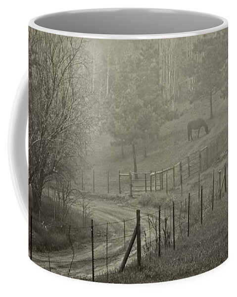 Bleak Coffee Mug featuring the photograph Gracie Gazing in the Mist by Loren Gilbert
