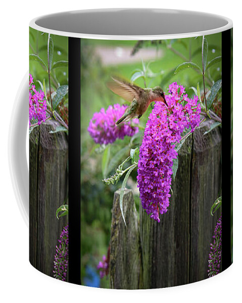 Nature Coffee Mug featuring the photograph Ruby Throated Female Hummingbird by Jeff Folger