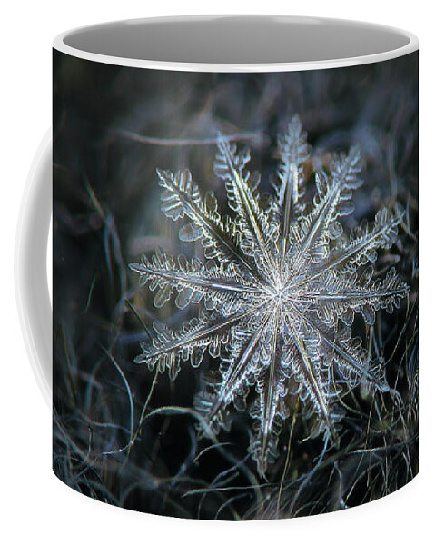 Snowflake Coffee Mug featuring the photograph Real snowflake 2014-01-26_5568-76_Electra by Alexey Kljatov