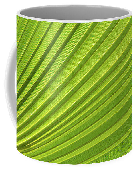 Palm Leaf Coffee Mug featuring the photograph Palm leaf and Mediterranean sunlight 2 by Adriana Mueller