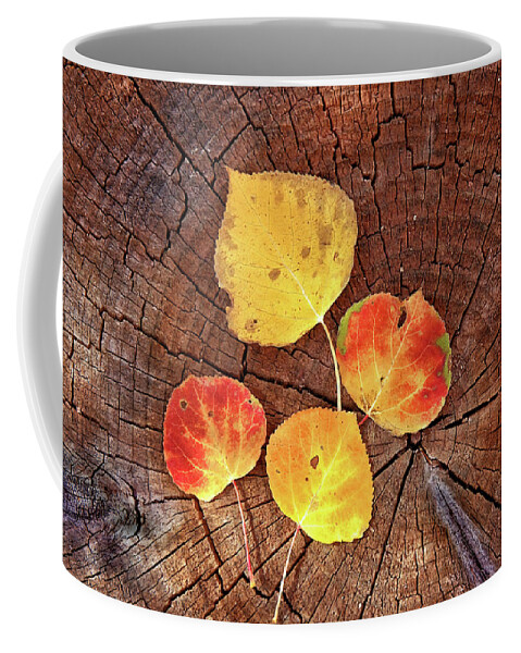 Colorado Coffee Mug featuring the photograph Aspen leaves on a log by Bob Falcone