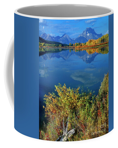 Dave Welling Coffee Mug featuring the photograph Aspens Fall Oxbow Bend Grand Tetons National Park by Dave Welling