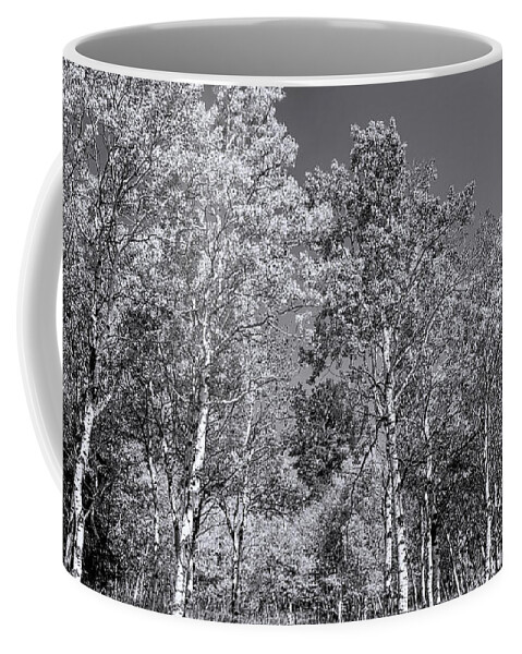 Aspen Trees Coffee Mug featuring the photograph Aspens in Black Hills in fall by Cathy Anderson
