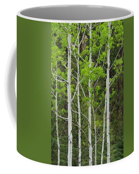 South Dakota Coffee Mug featuring the photograph Aspens by Larry Bohlin
