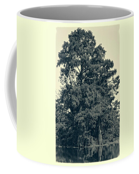 Tree Coffee Mug featuring the photograph Atchafalaya Basin Southern Louisiana 2021 Ambrotype 93 by Maggy Marsh