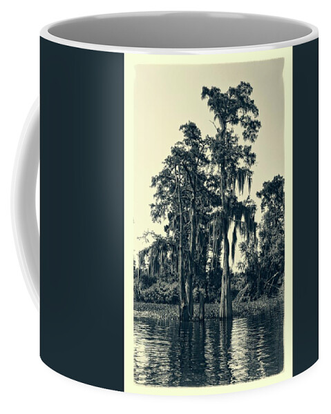 Tree Coffee Mug featuring the photograph Atchafalaya Basin Southern Louisiana 2021 Ambrotype 95 by Maggy Marsh