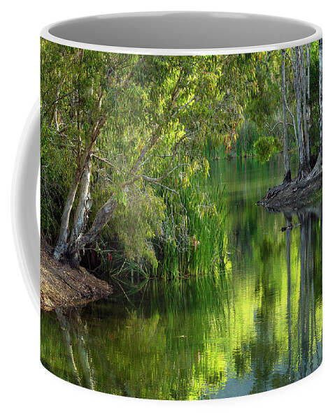 Australia Coffee Mug featuring the photograph Australia - Queensland by Olivier Parent