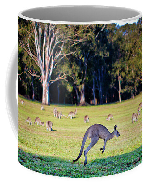 Australian Bush Kangaroo Hopping Coffee Mug featuring the photograph Australian Bush Kangaroo by Az Jackson