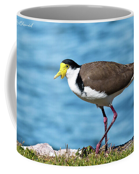 Australian Plover Coffee Mug featuring the digital art Australian plover 893 by Kevin Chippindall