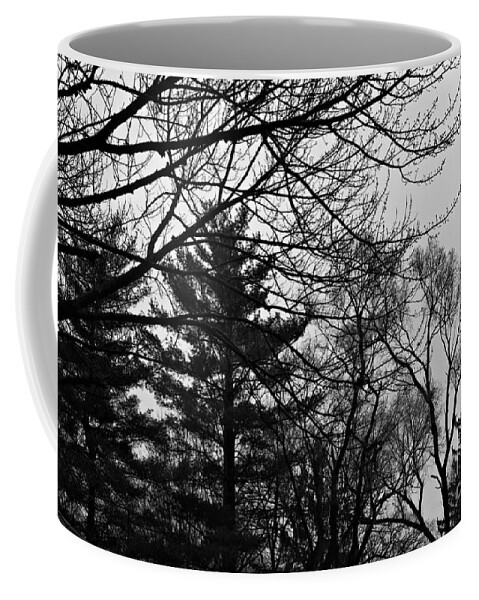Landscape Coffee Mug featuring the photograph Authentic Expression - Black and White by Frank J Casella