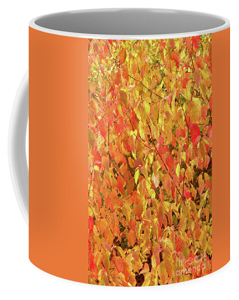 Nature Coffee Mug featuring the photograph Autumn Abstract by Stephen Melia