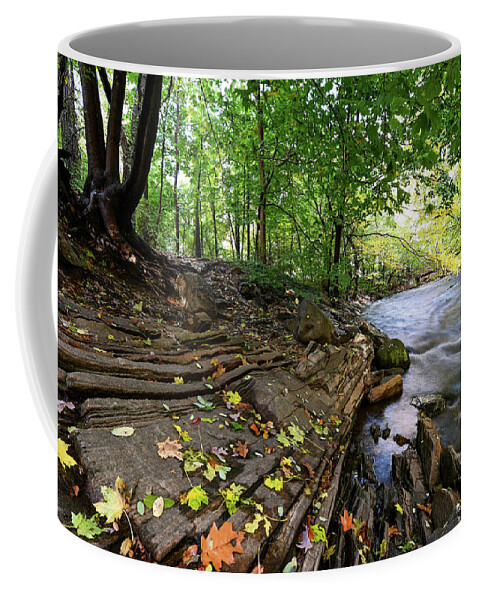 Autumn Coffee Mug featuring the photograph Autumn Along the Bronx River by Kevin Suttlehan