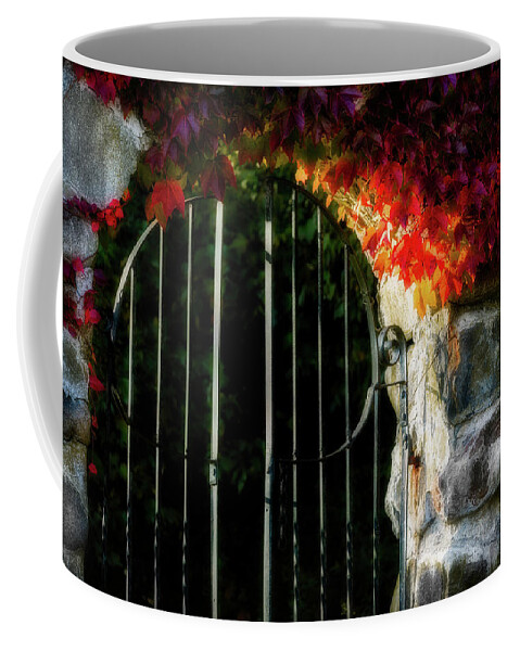 Fall Foliage Coffee Mug featuring the photograph Autumn Arch by Michael Hubley