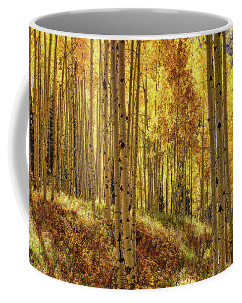 Aspen Coffee Mug featuring the photograph Autumn Aspens Aspen Colorado Most Loved Trees Uncompahgre National Forest Fall Season by OLena Art