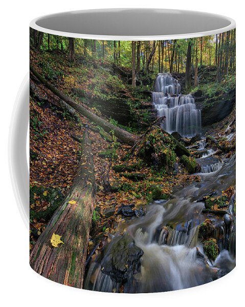 Gunn Brook Falls Coffee Mug featuring the photograph Autumn at Gunn Brook by Kristen Wilkinson