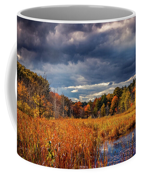 Colors Of Autumn Coffee Mug featuring the photograph Autumn beauty 7 by Lilia S